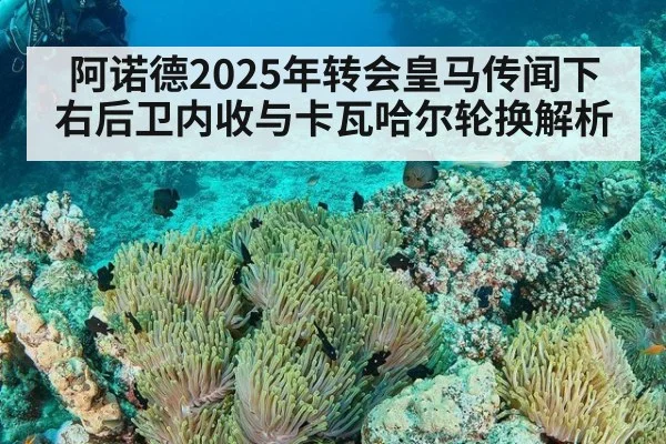阿诺德2025年转会皇马传闻下右后卫内收与卡瓦哈尔轮换解析